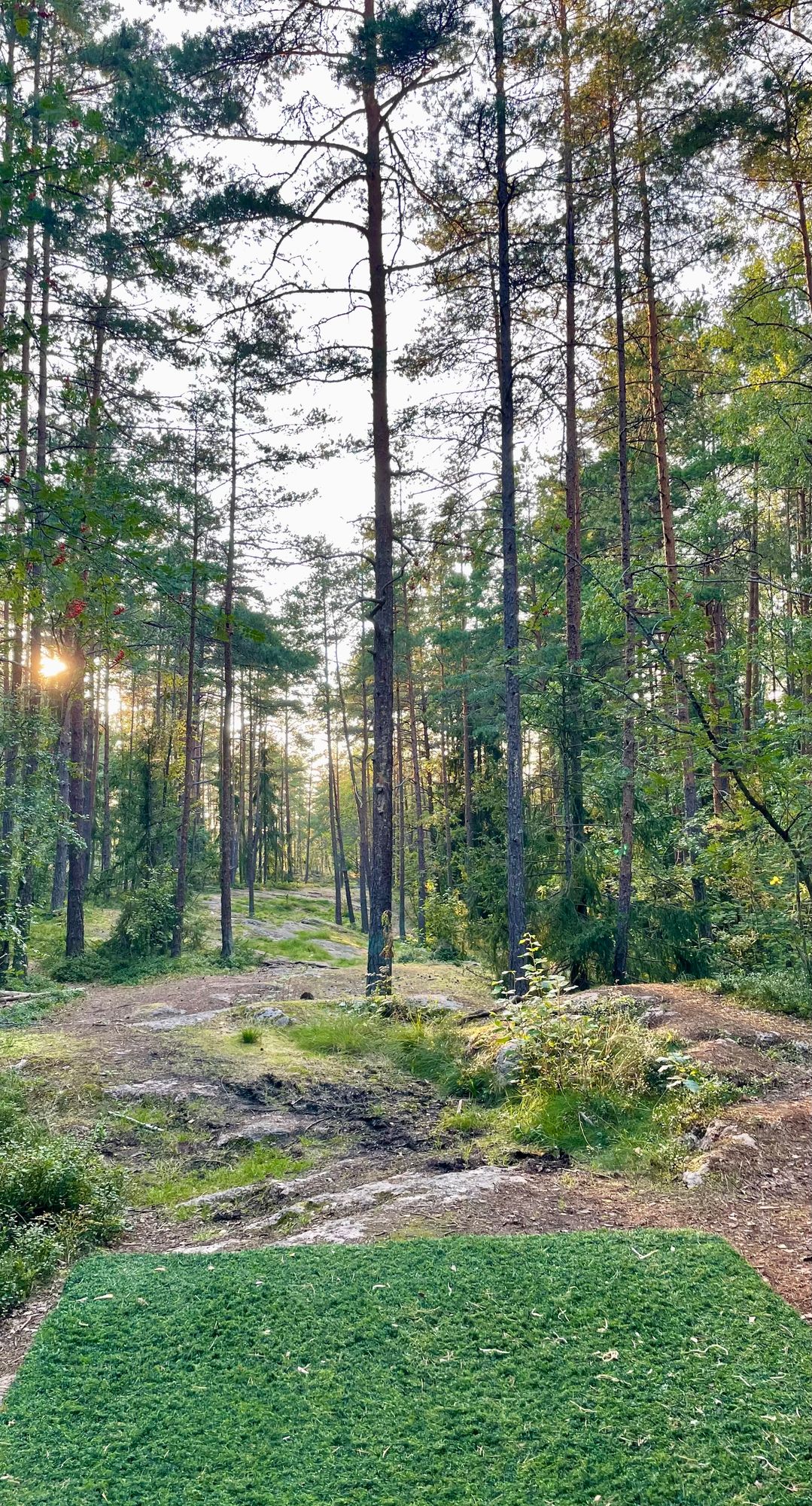 Väylä 11