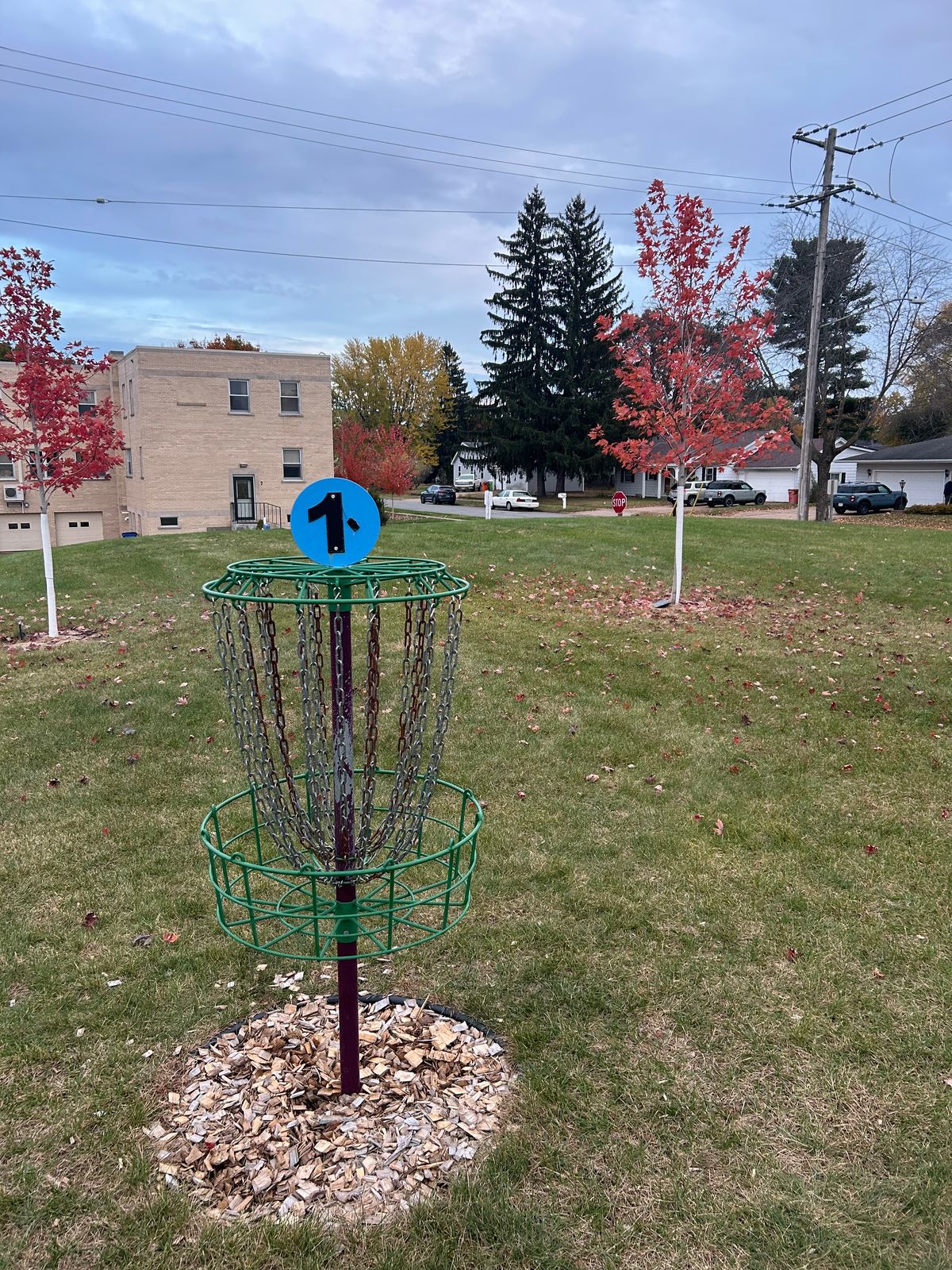 Hole 1 basket