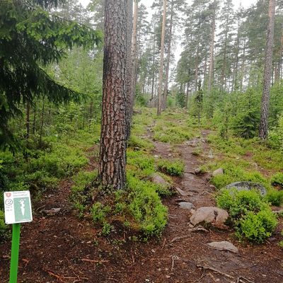#1 tiiltä