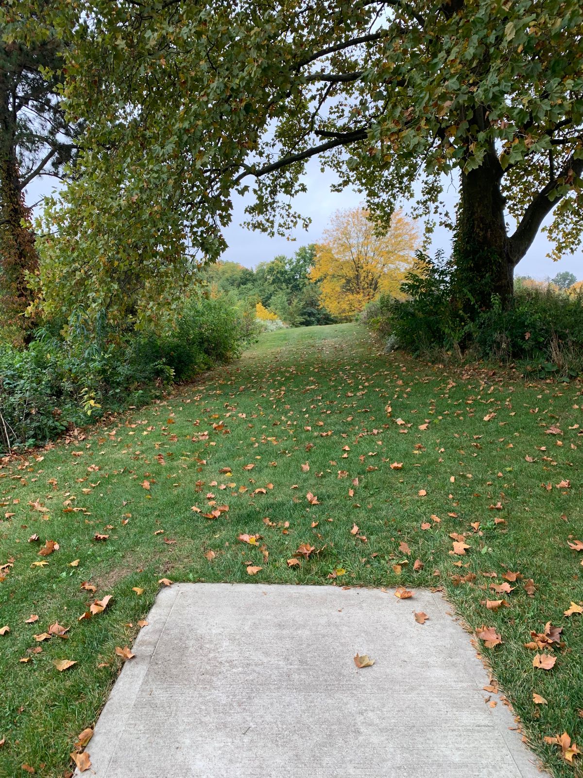 Hole 1 Blue Tee