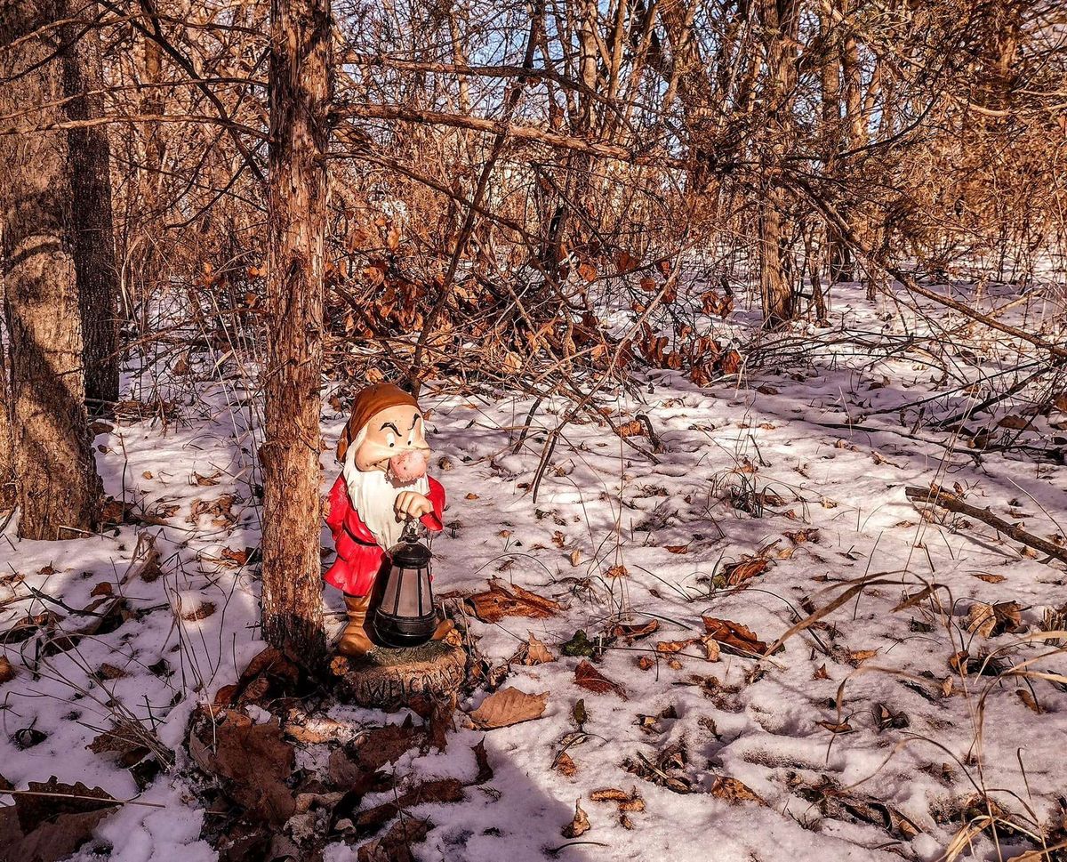 A grumpy friend if you find yourself off the fairway on #3
