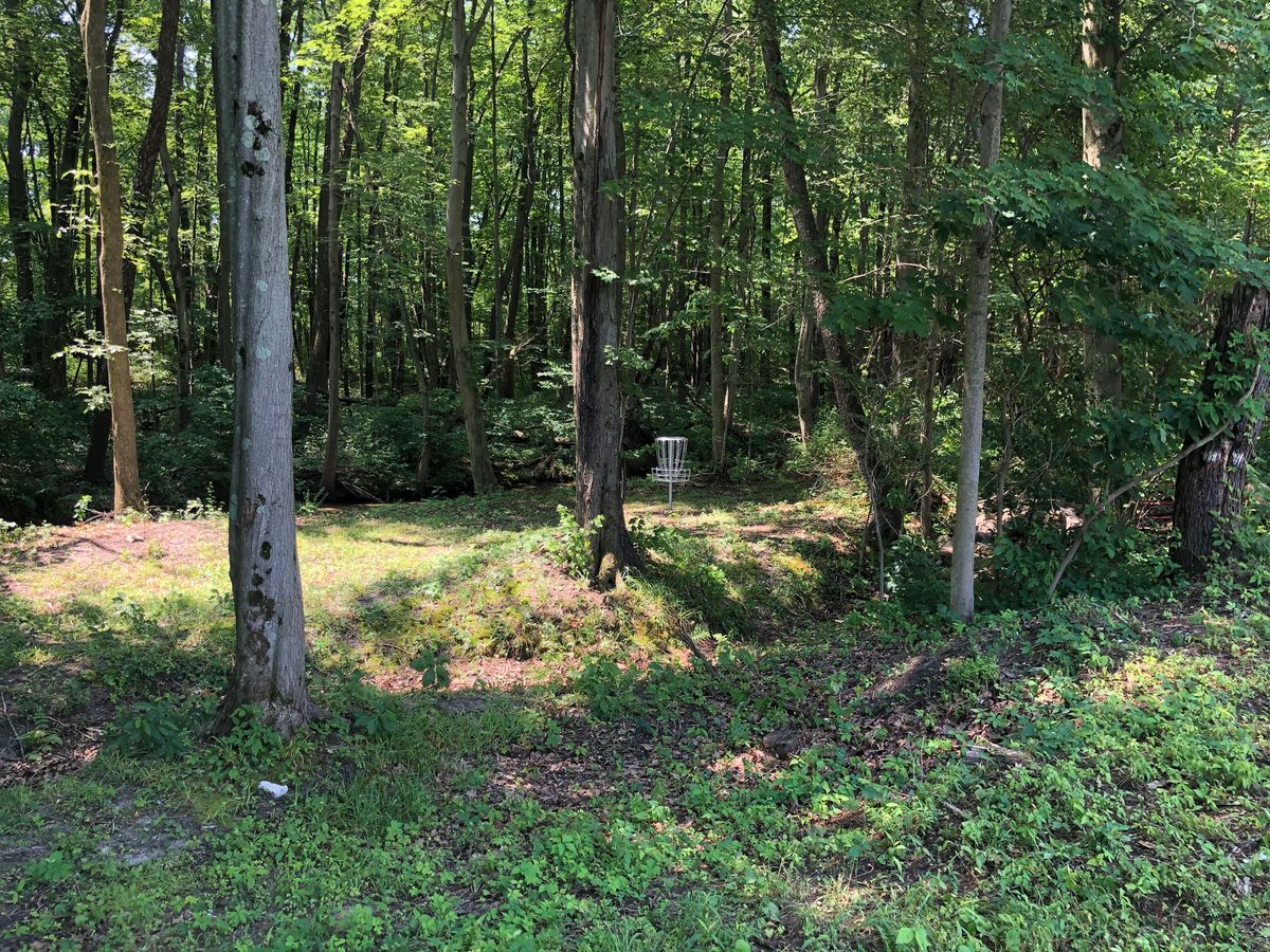 Fairway 4