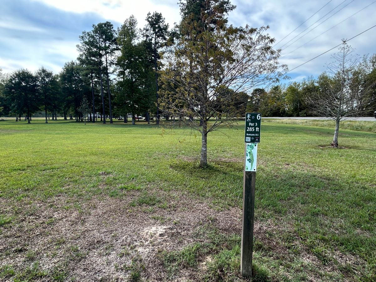 Hole 6 Fairway