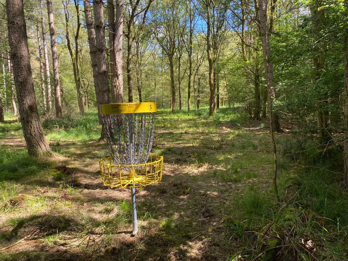 Hole 5 Basket - looking back up the fairway