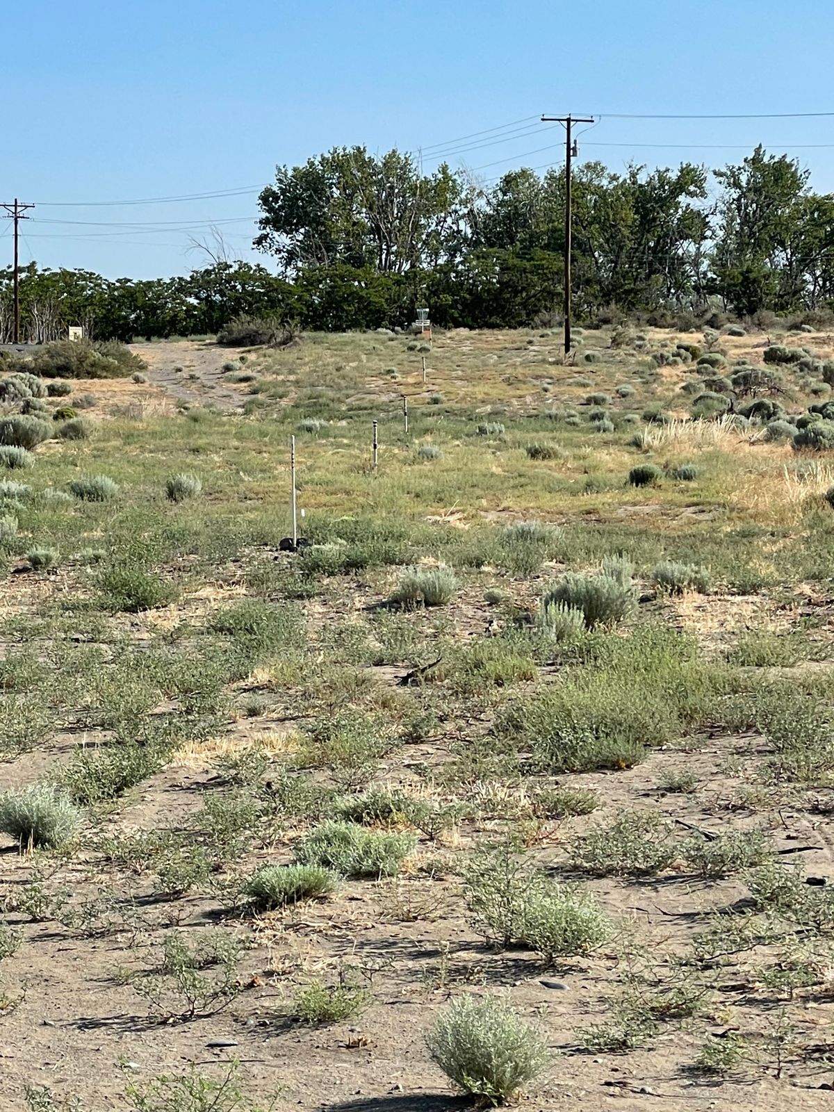 Hole 9
