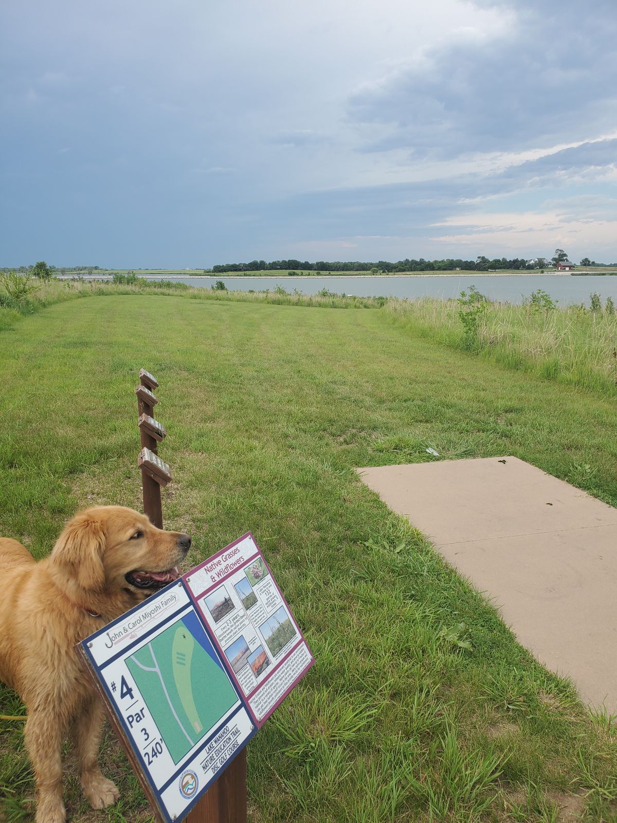Hole 4