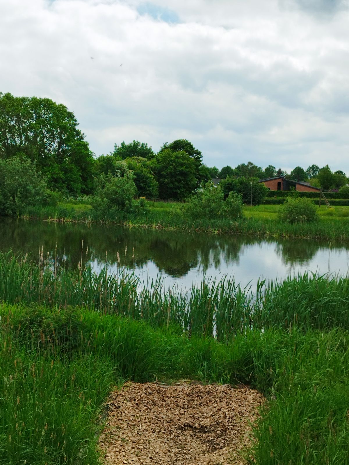 Hole 4 par 3 over water