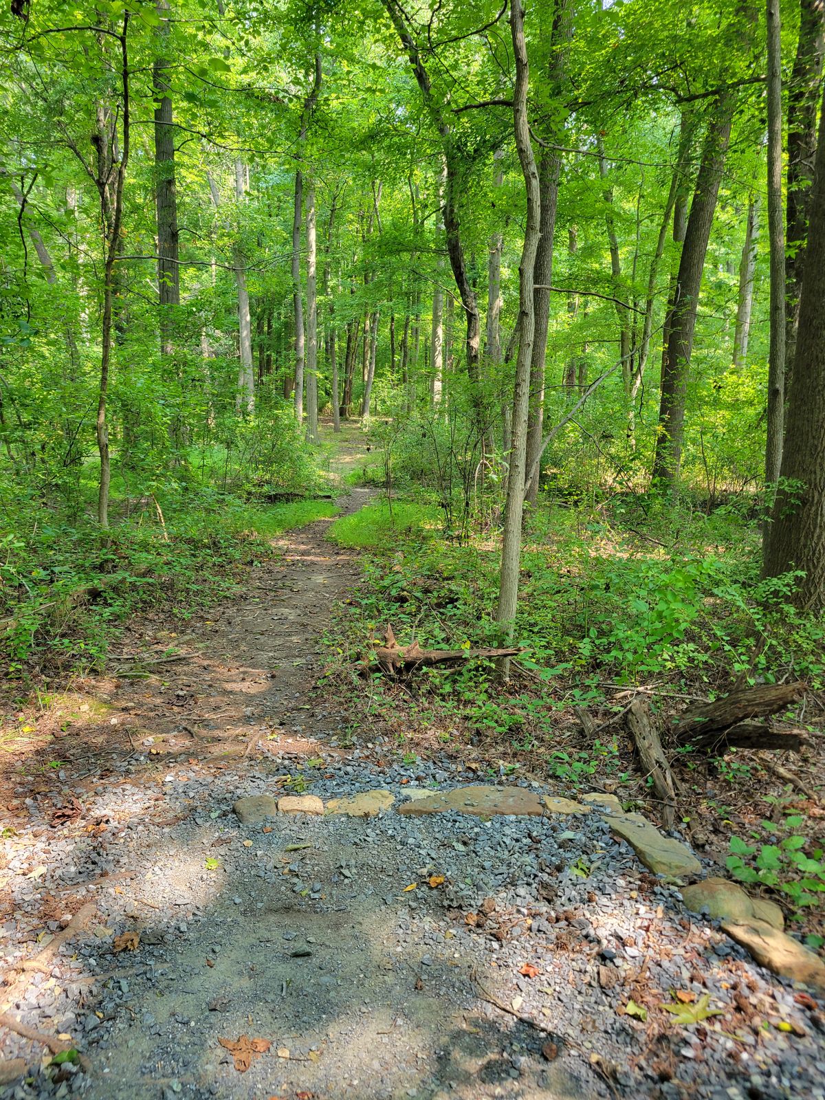inside gravel tee pad