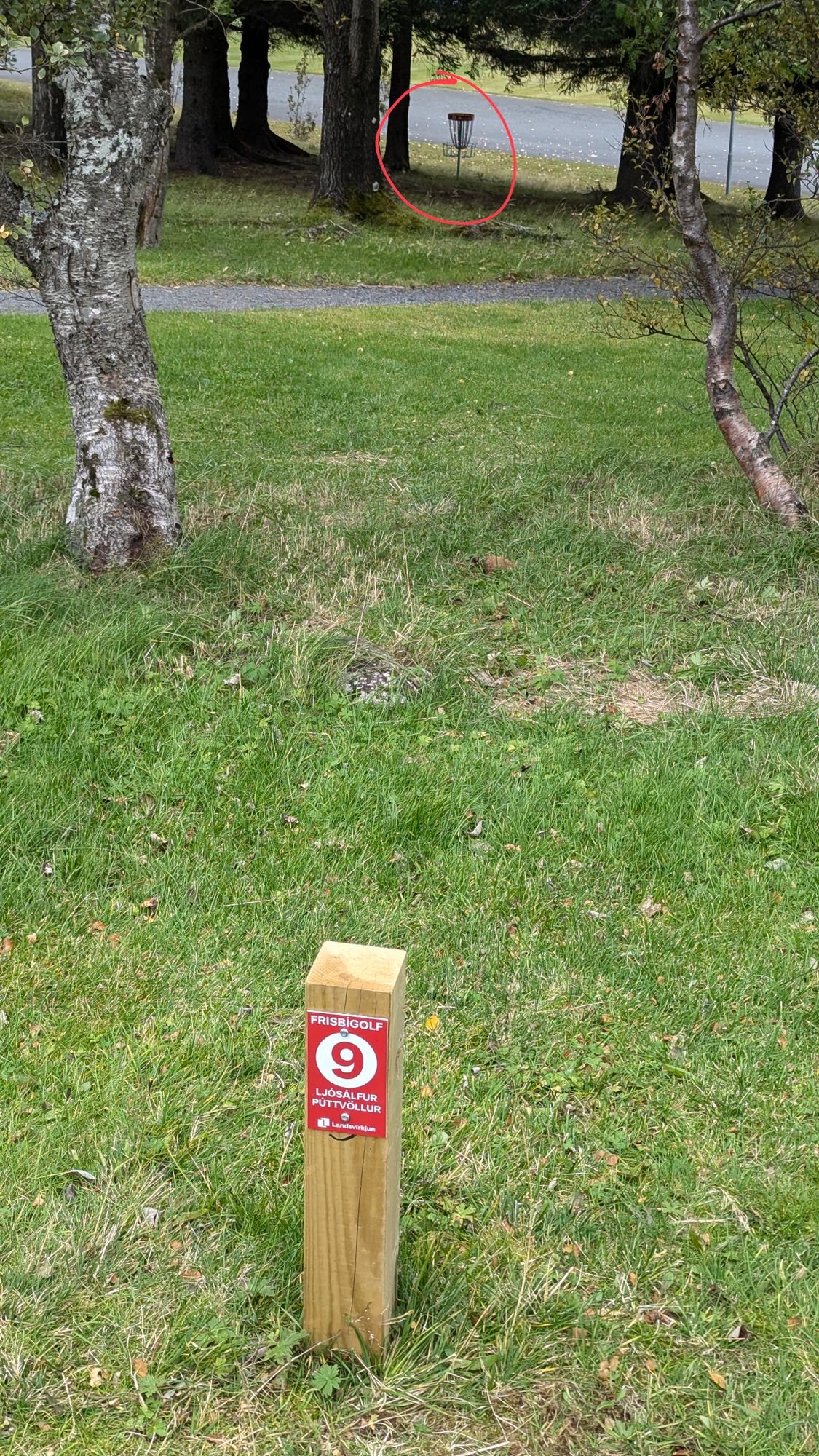 9-hole course, hole #9