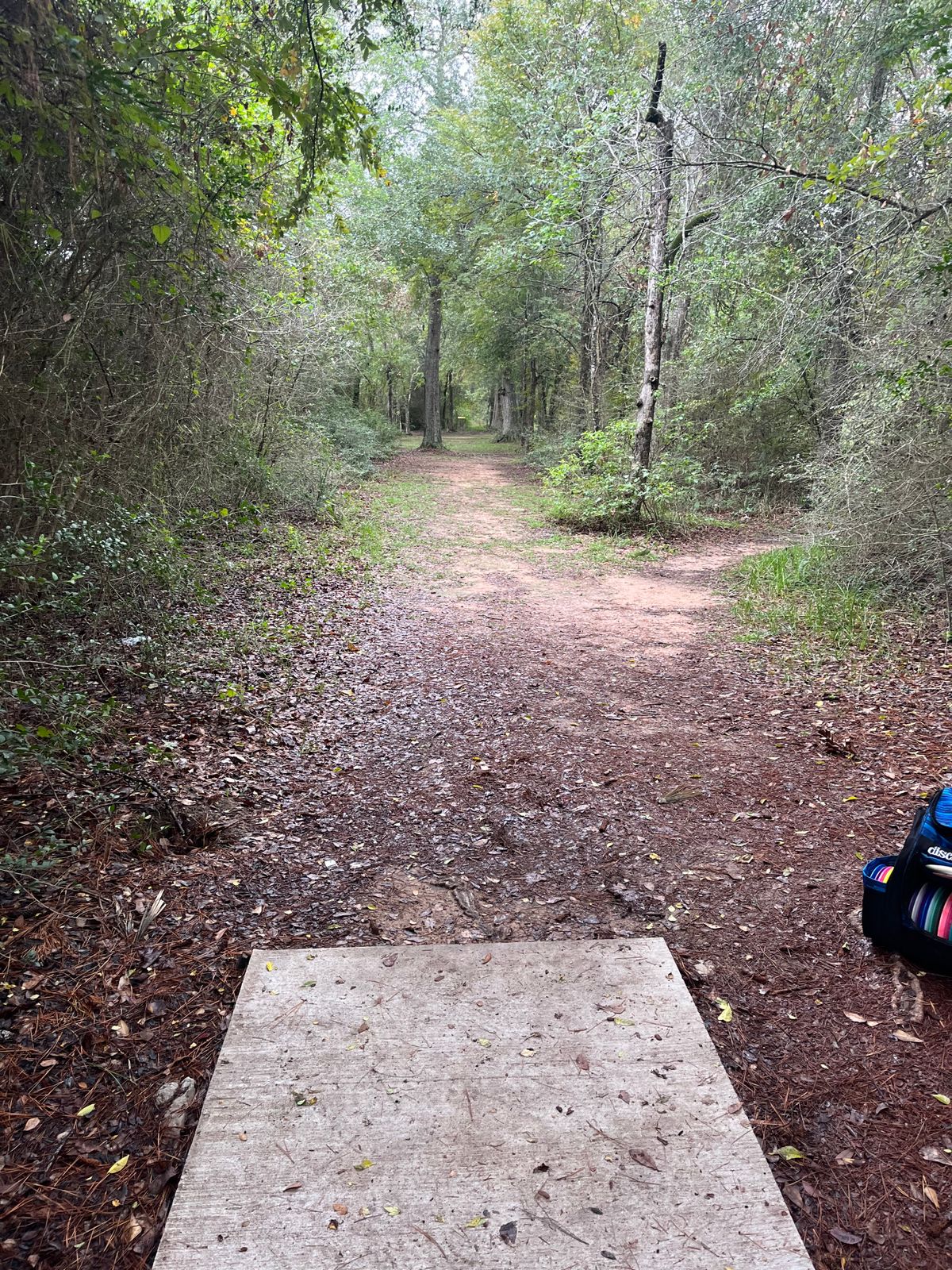 Hole 8 11/11/23