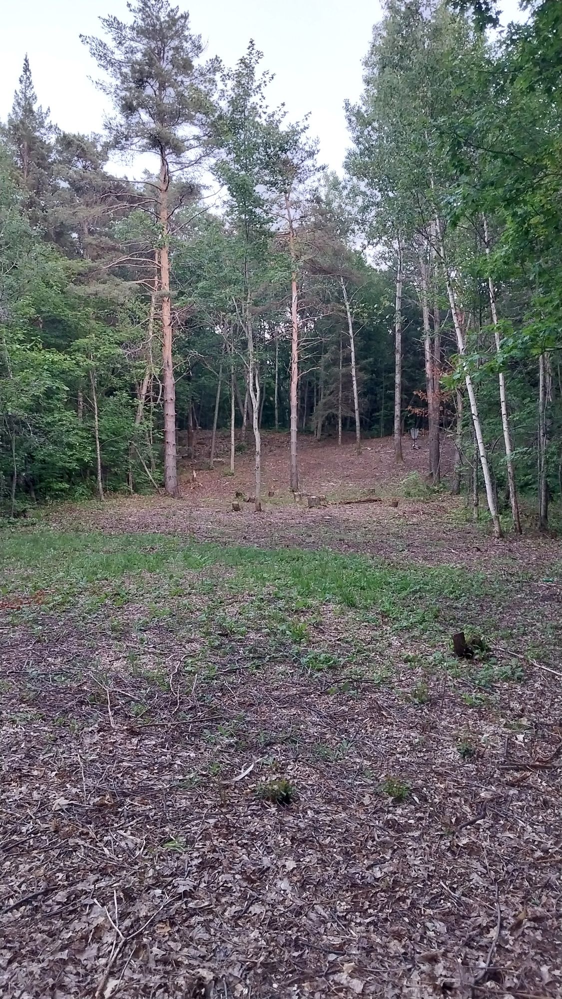 Fairway 1