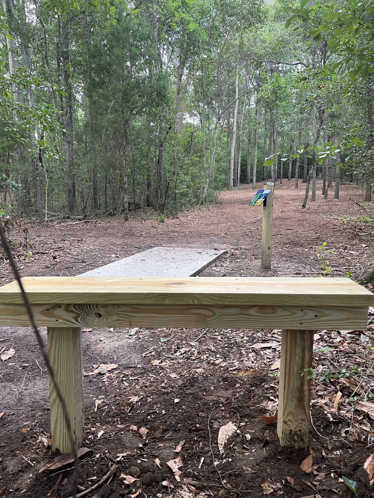New Bench on Hole 15