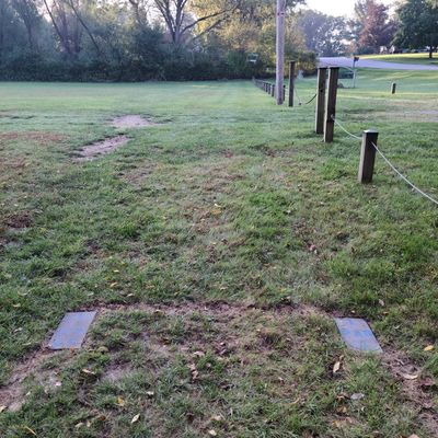 Tee 1