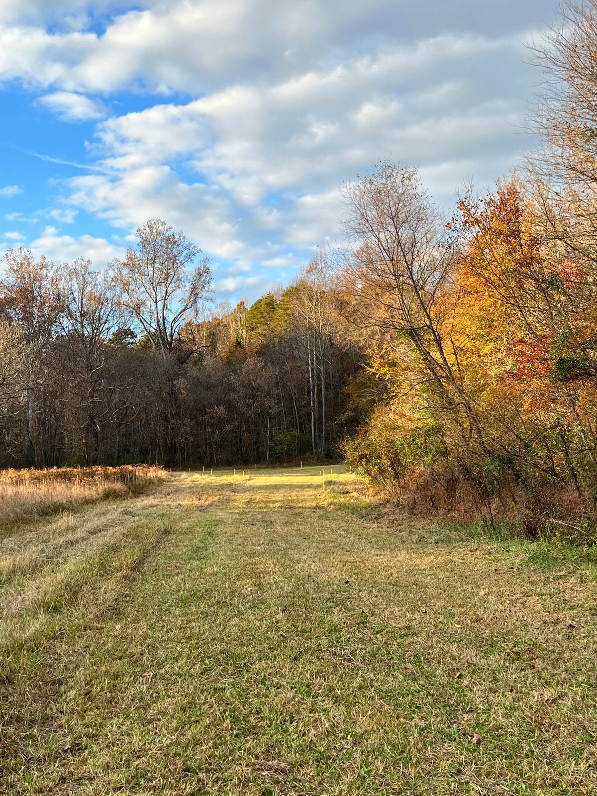 Hole 7 Tee