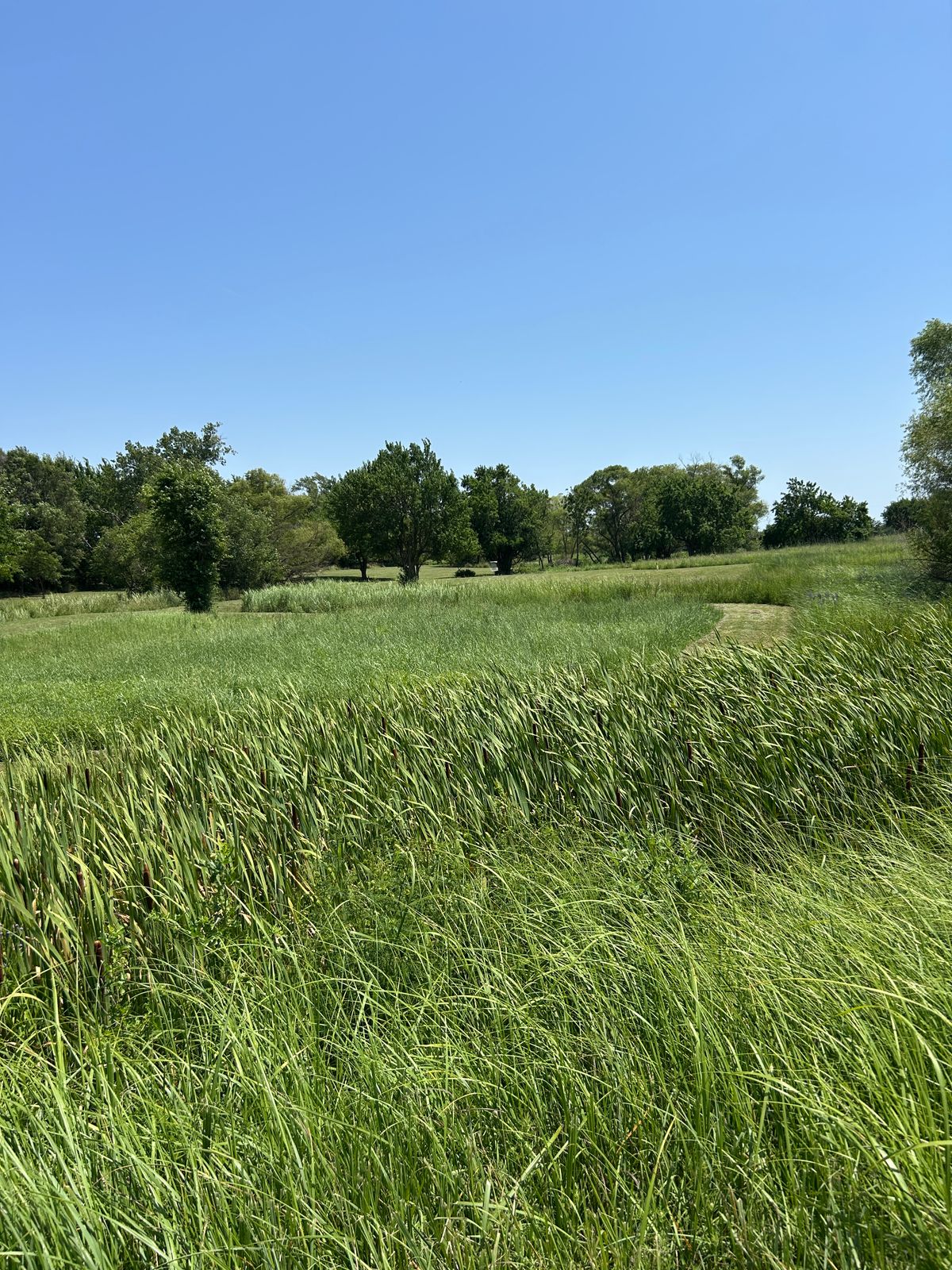Hole 5