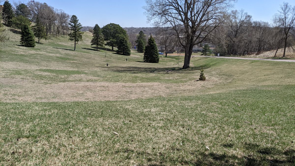 Tee #8