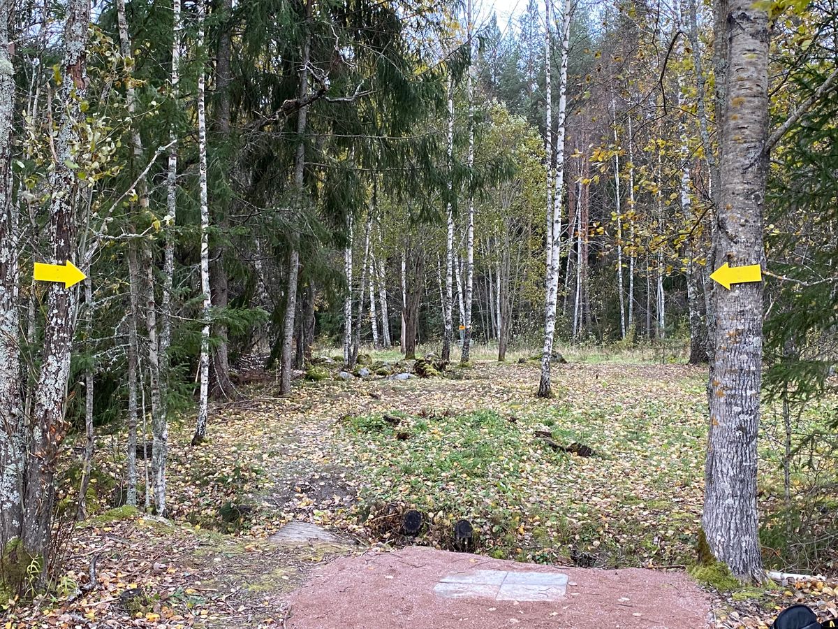 Hål 6. Mando och drop zone (främre tee)