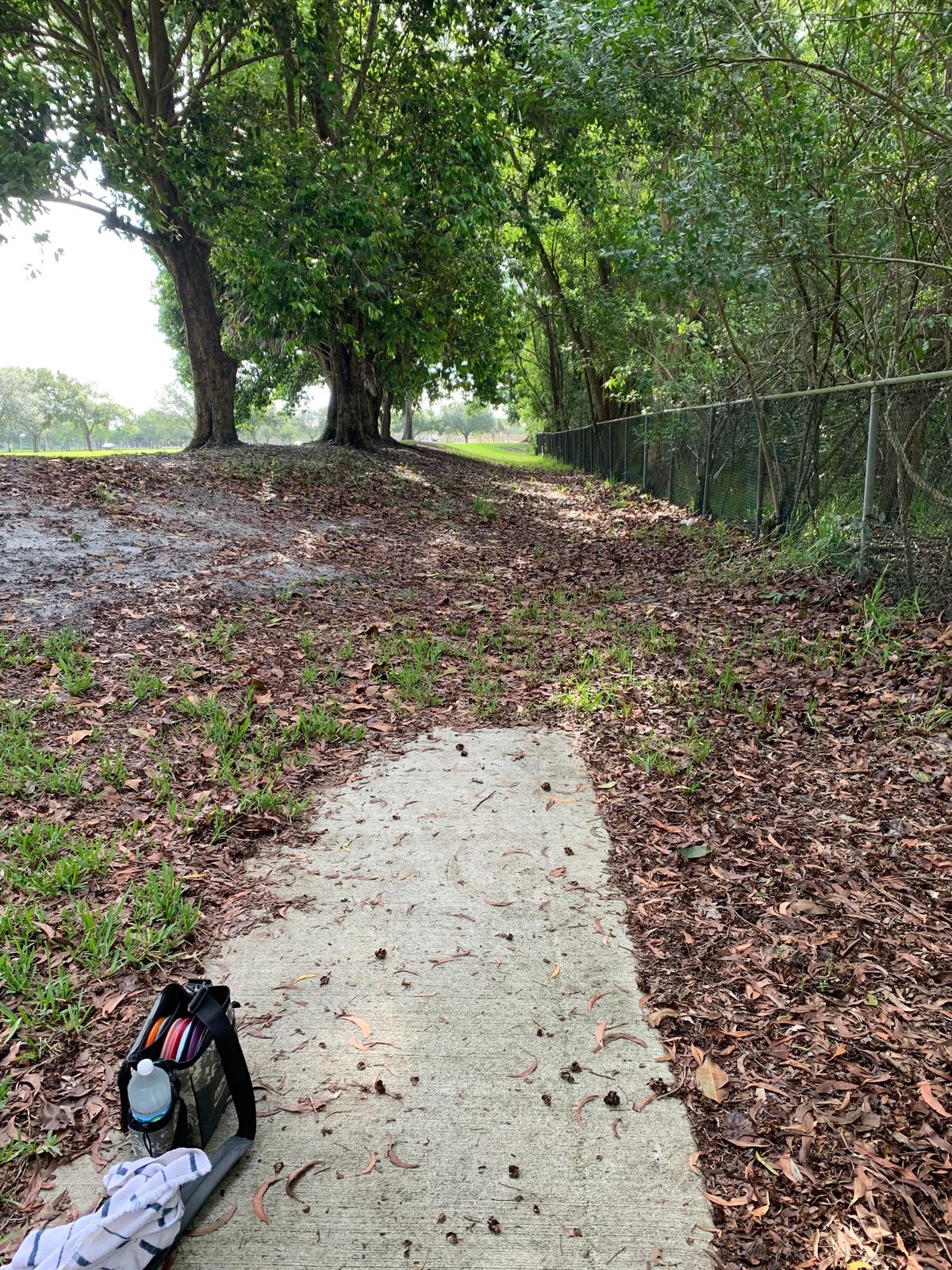 Tee pad from hole 2
