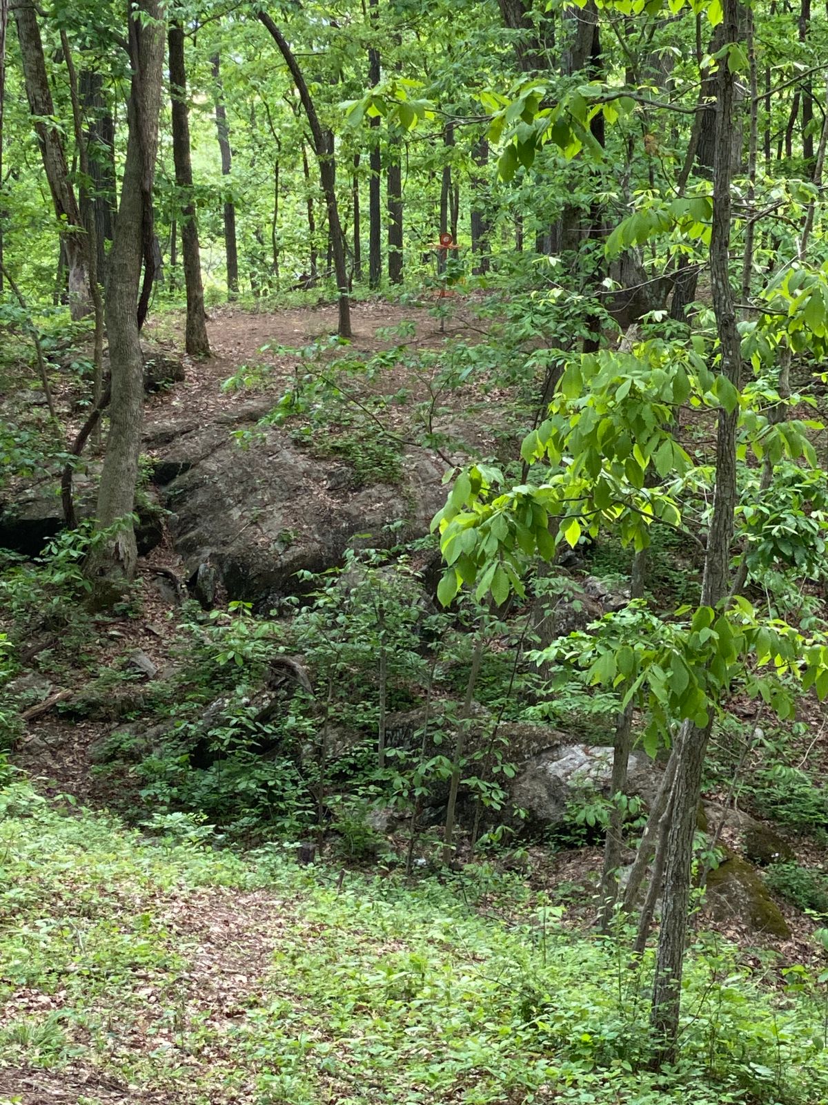 Par 3