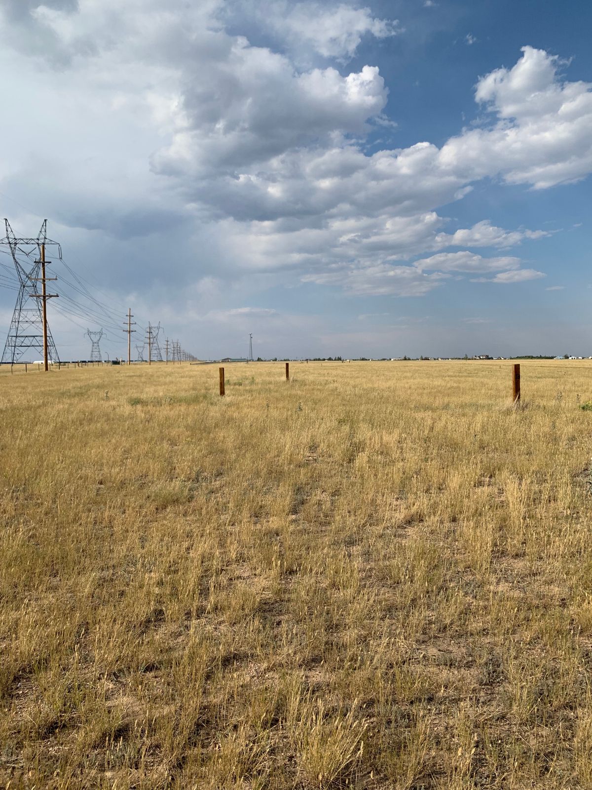 Multiple turf tee pads