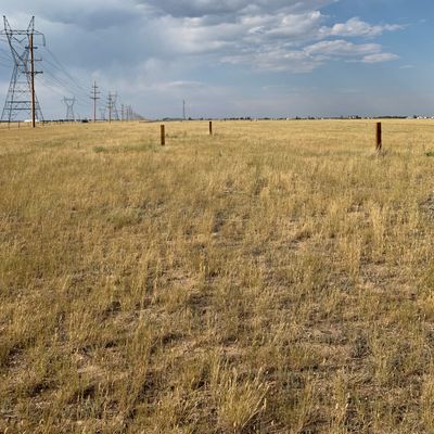 Multiple turf tee pads