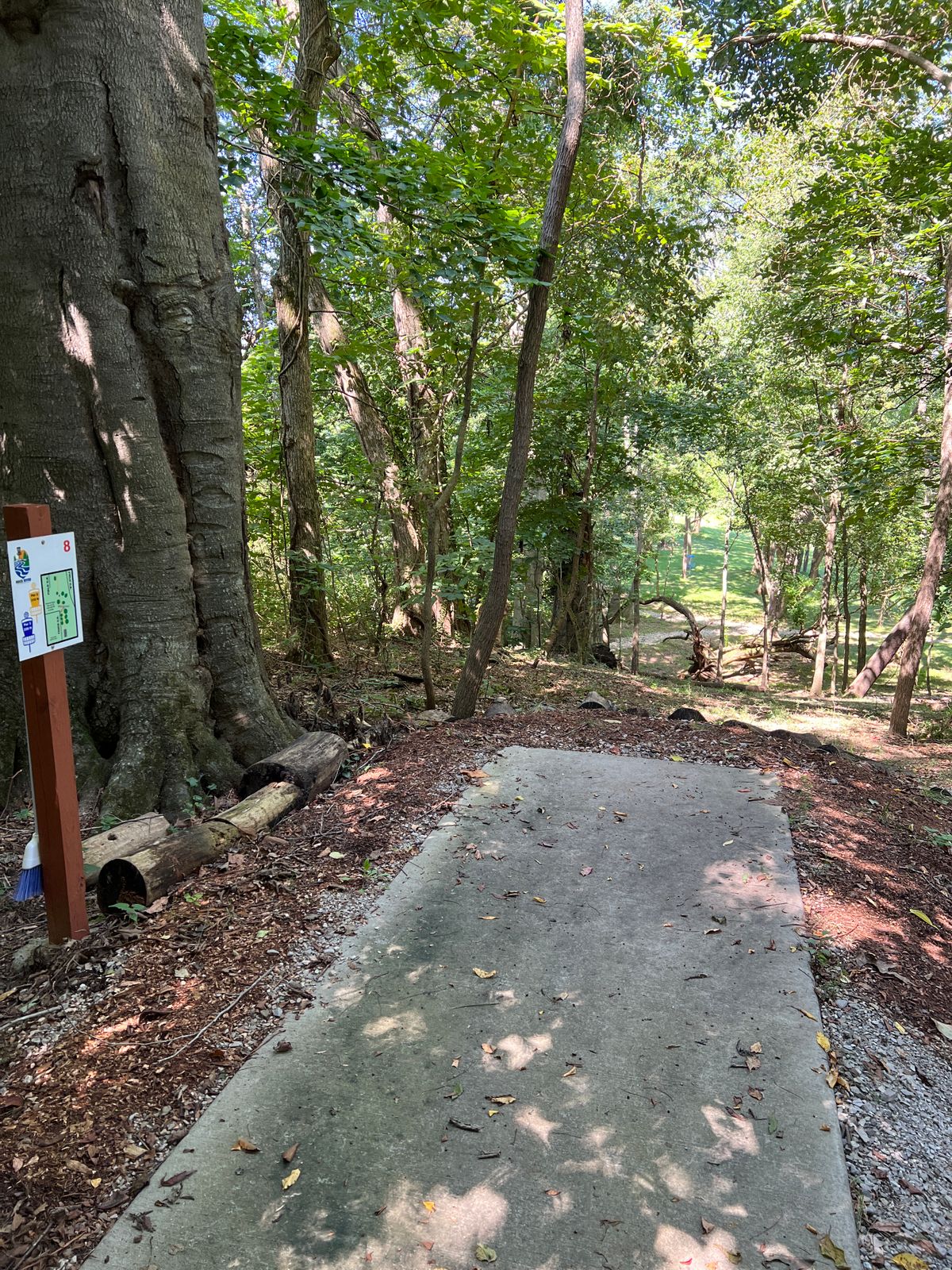 Hole 8
