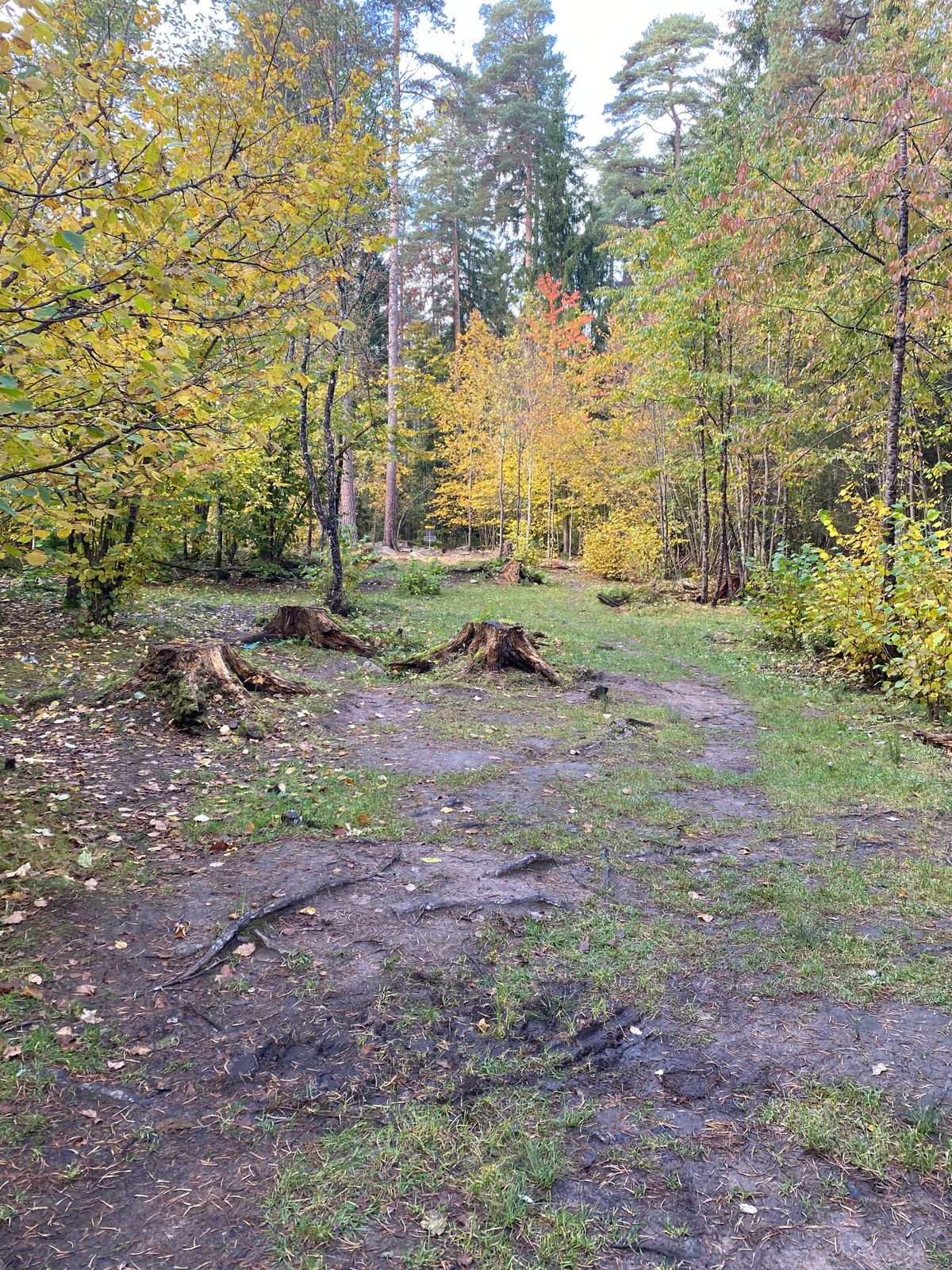 Korg hål 5 sett från dropzone