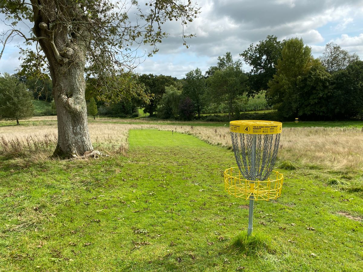 Hole four basket looking back towards tee