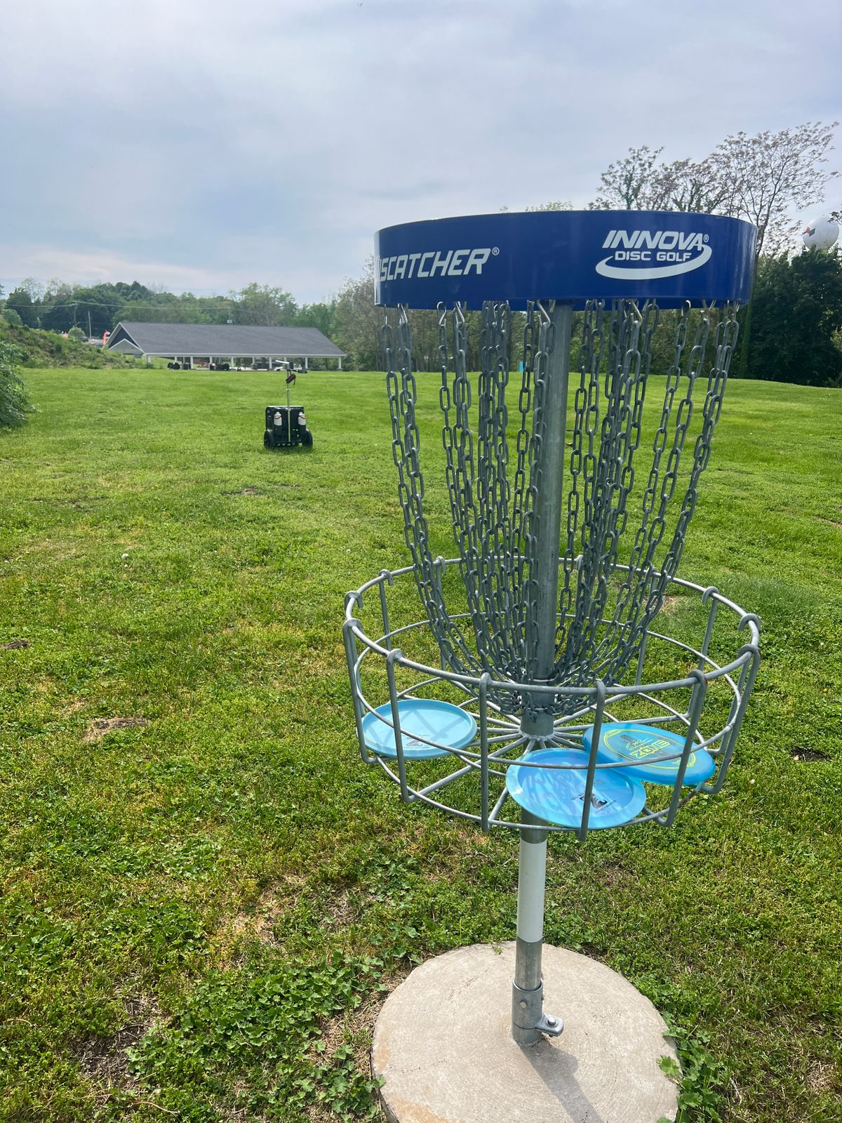Hole 2 Basket - Looking back toward tee pad (in line with cart)