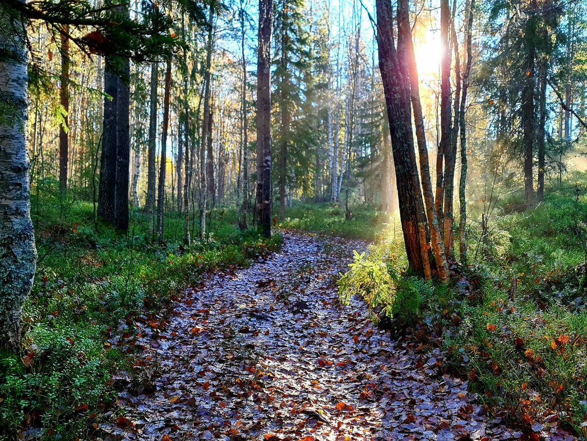 Fina stigar mellan banorna