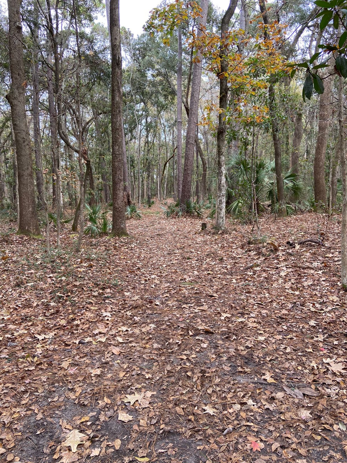 Hole 16