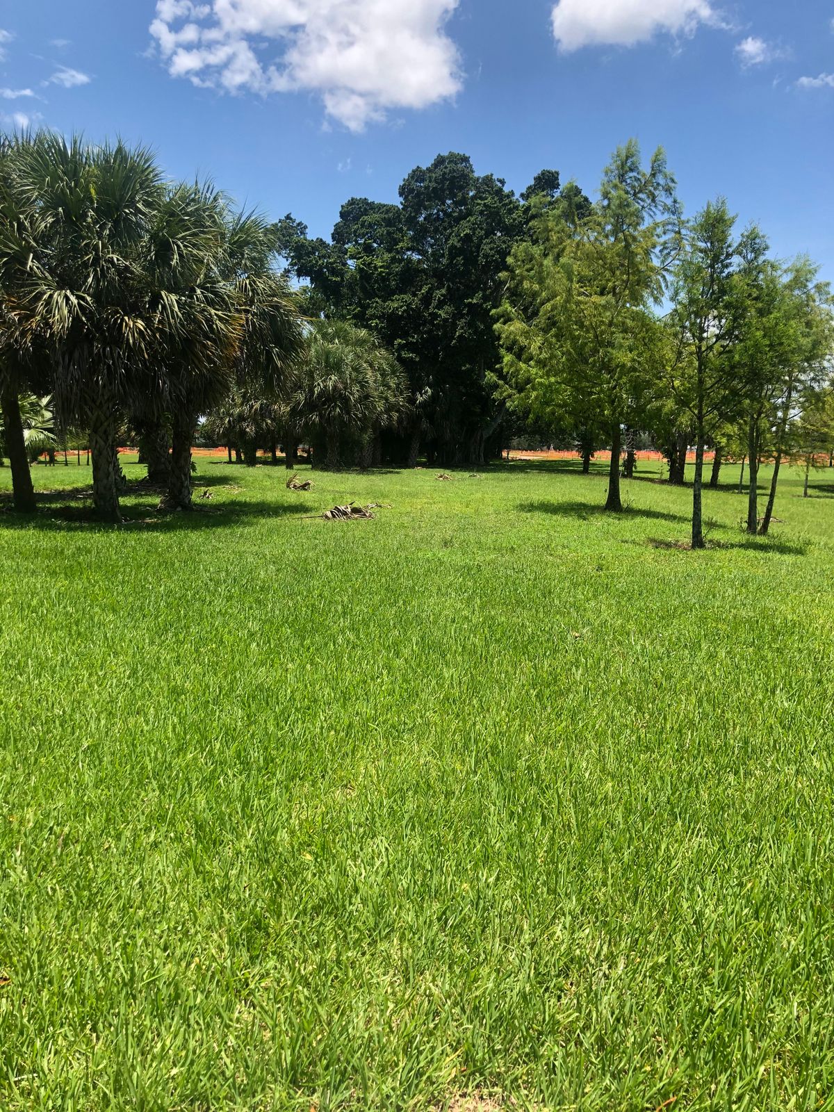 Hole 11