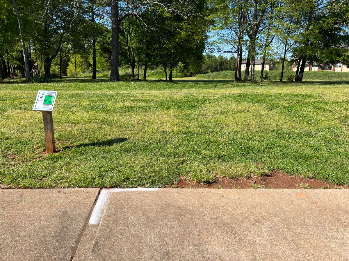 Hole 4 (2022)