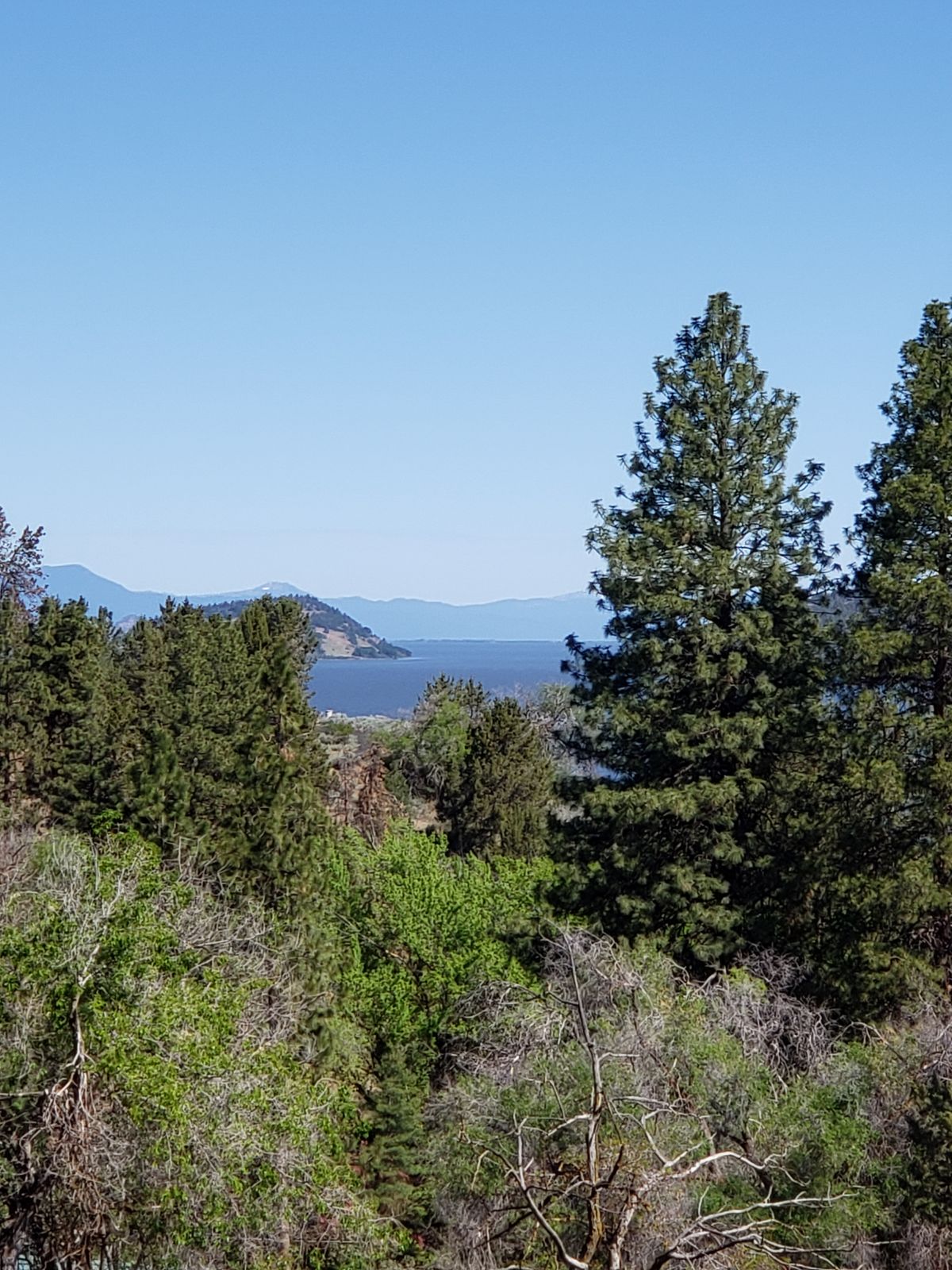 Look at Klamath lake