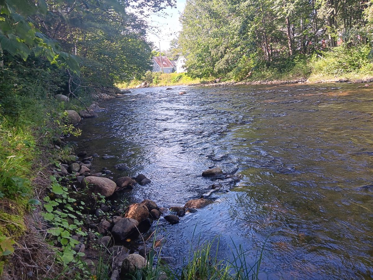 River by the course