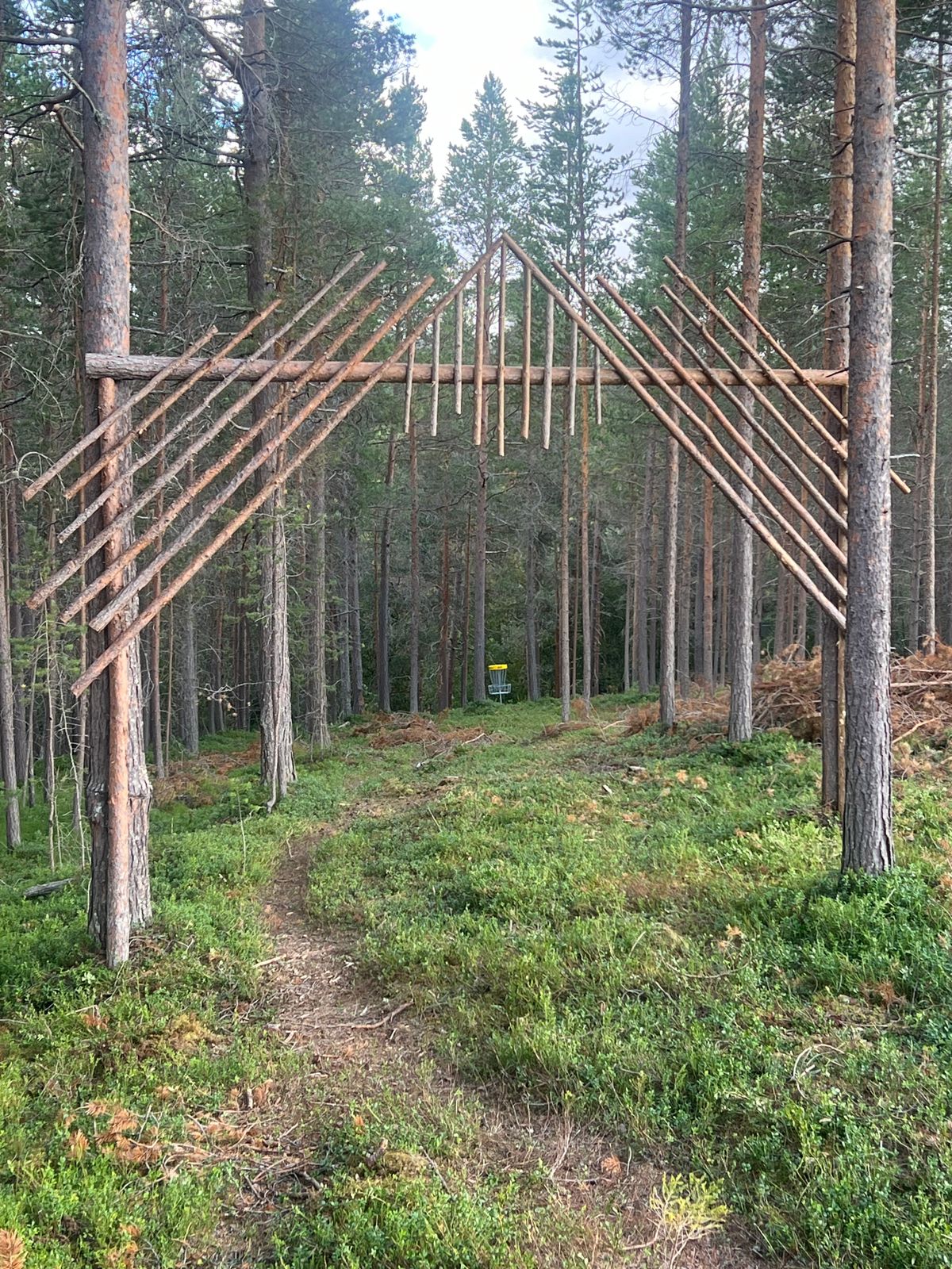 Hull 15 - utkast igjennom portal