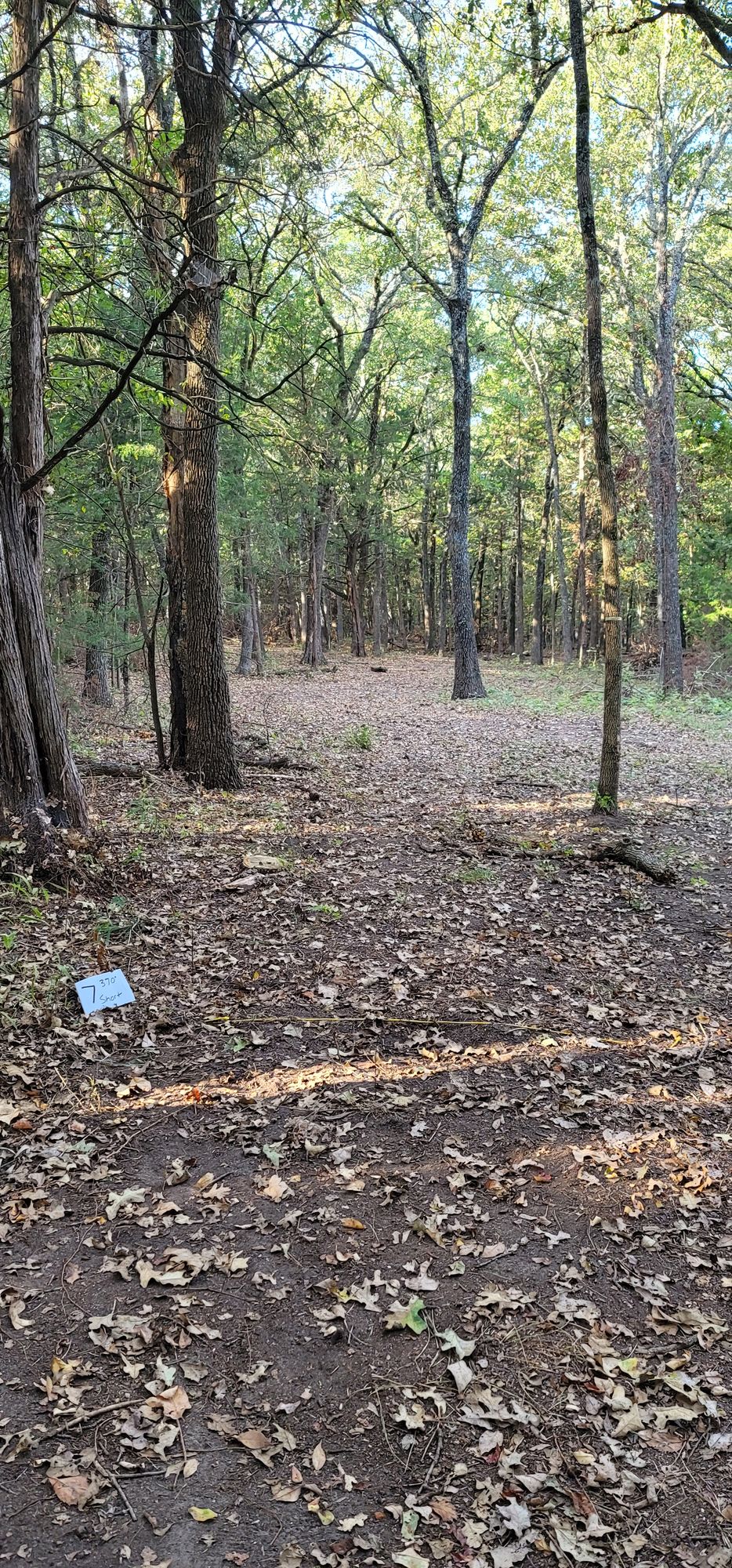 Hole 7 short tee