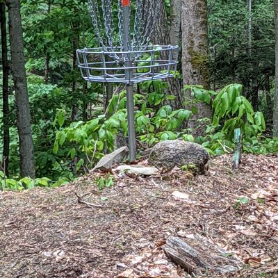Death putt, basket 13