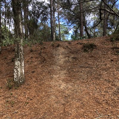 If you fall trying to retrieve your disk when it goes off the hill on hole number 10