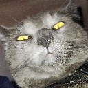 User avatar image