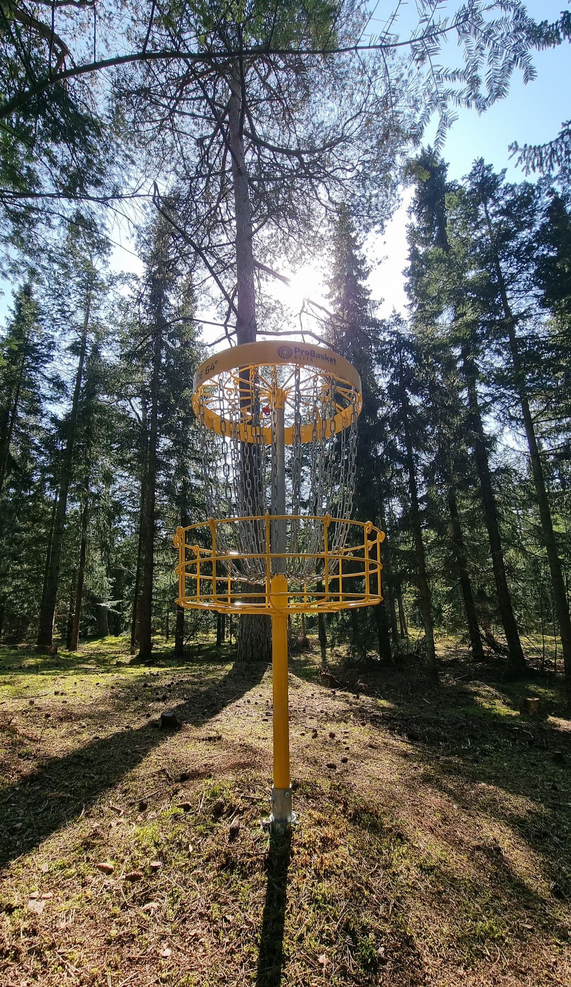 Kurv 1