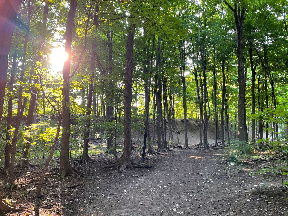 Nicely wooded and challenging.