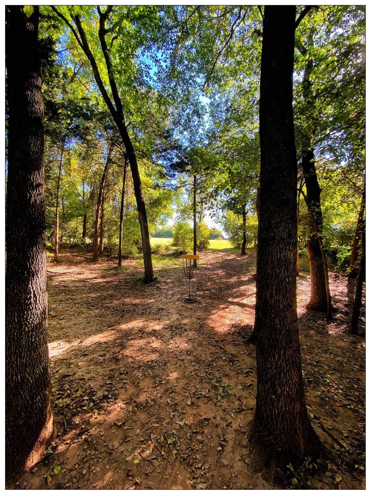 Hole 4 - basket-> looking back east towards Tee