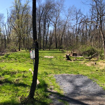 Hole 15 Short Tee
