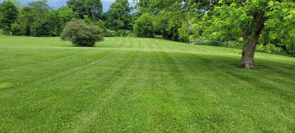 Half way up Hole 15's fairway looking towards the basket that's behind the bush