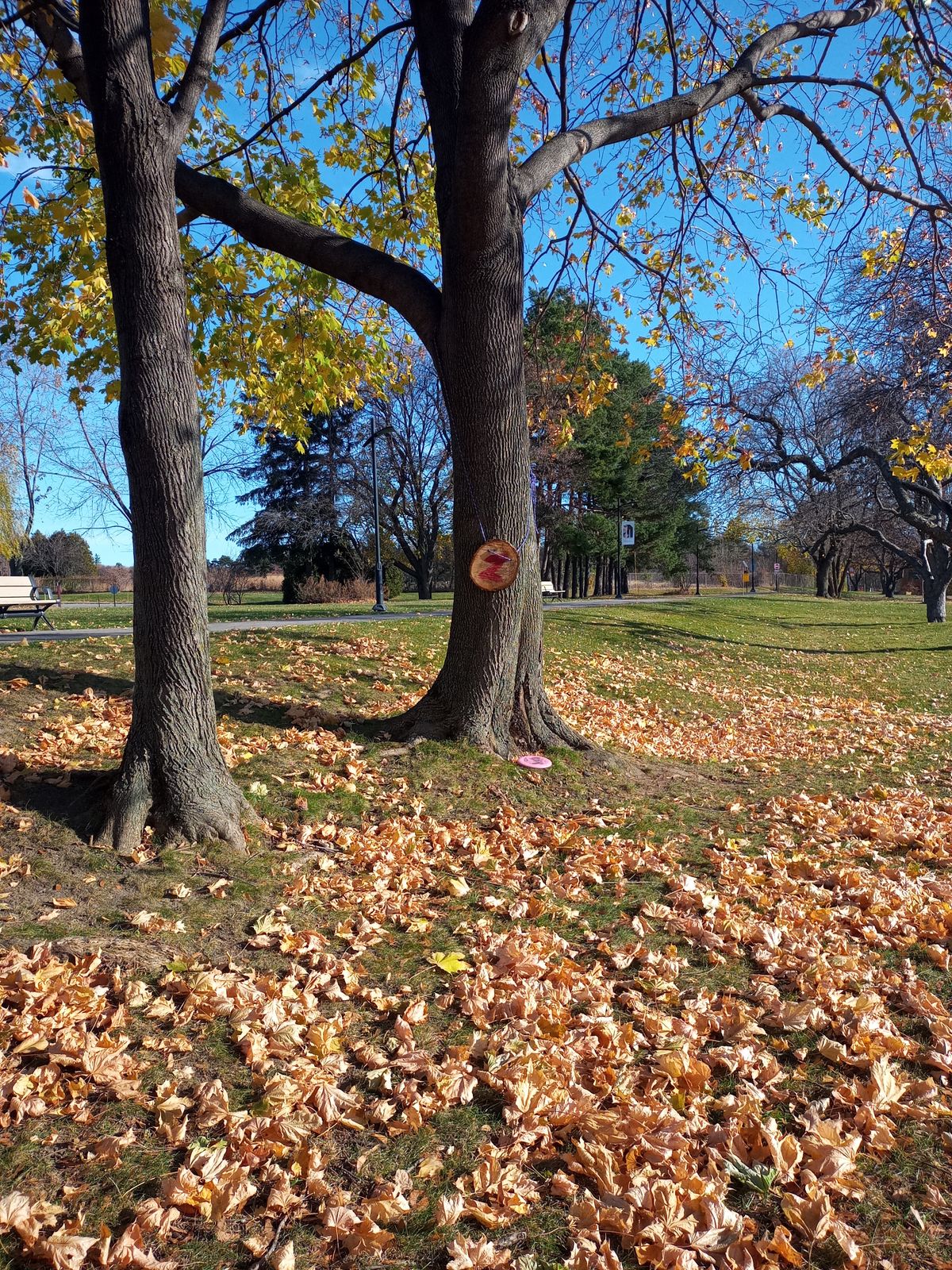 Hole 2 target