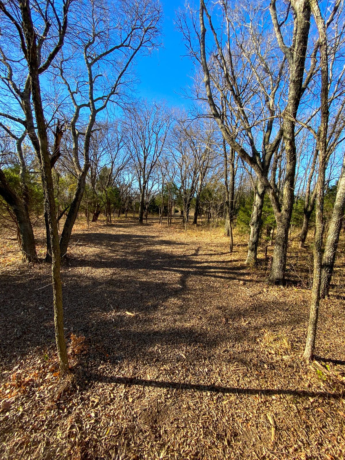 #16 Green