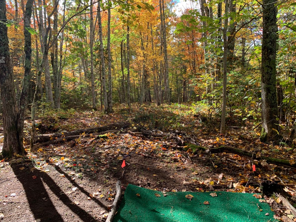 Hole 4 short tee