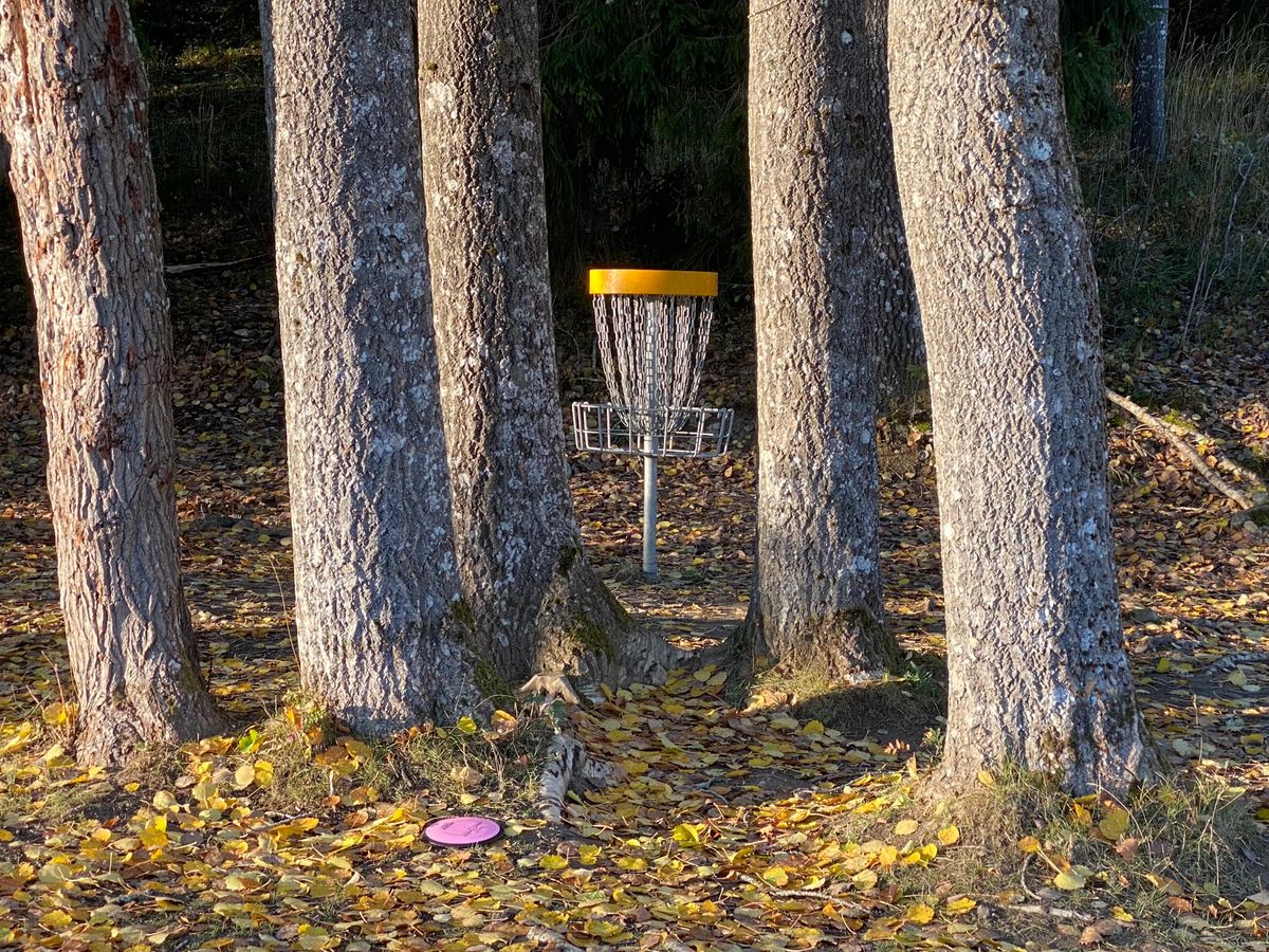 Hål 11. Hole 11. Hoyo 11. 第11洞.