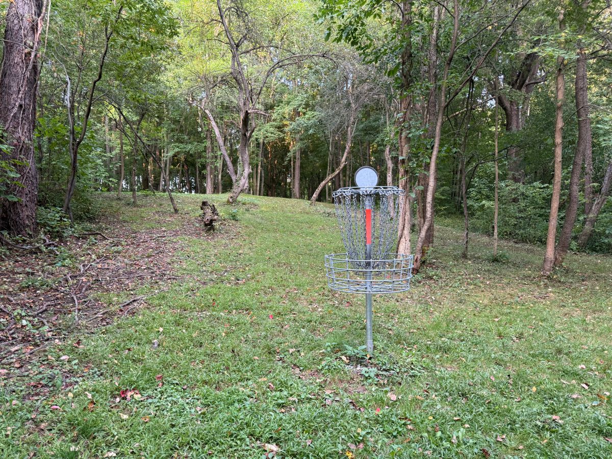 Hole 6 Basket to Tee